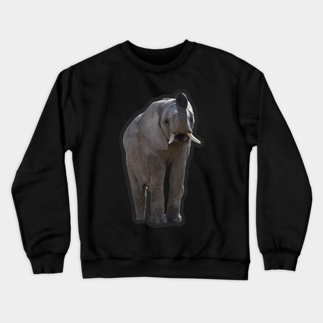 African Elephant Crewneck Sweatshirt by Sharonzoolady